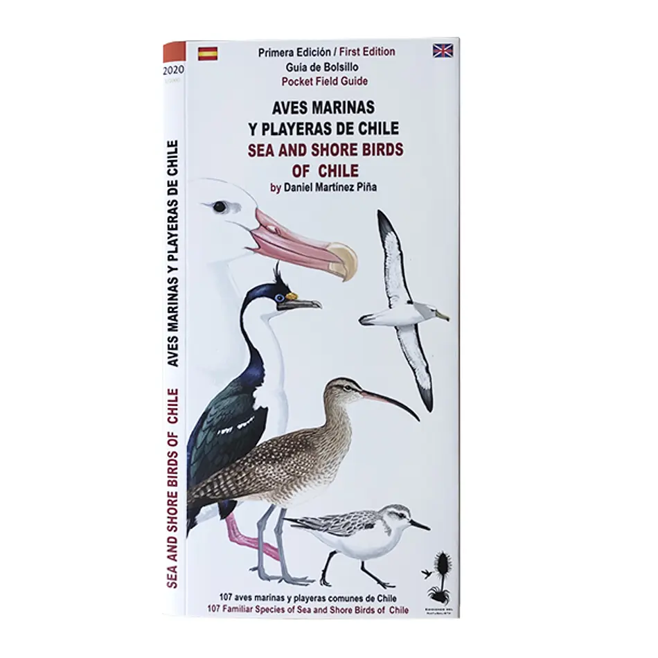 Guía de identificación de aves marinas y playeras observadas en la costa de Chile continental.