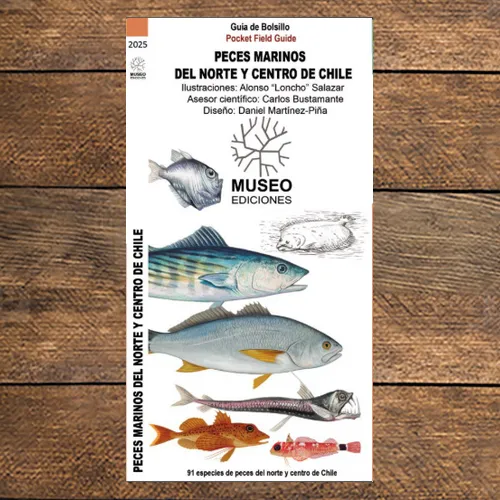 Guía desplegable de peces marinos del norte y centro de Chile, incluyendo especies comerciales.