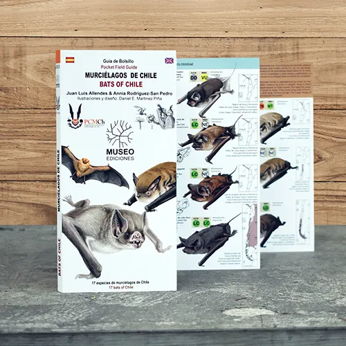 Ilustraciones de especies de murciélagos de Chile y ejemplos de sonogramas para su identificación.