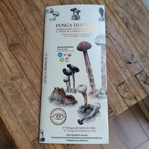 Guía hongos desérticos de Chile (nueva edición)