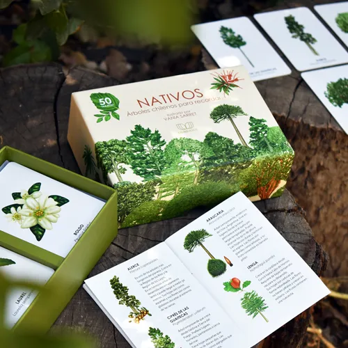 Nativos. Árboles chilenos para recordar