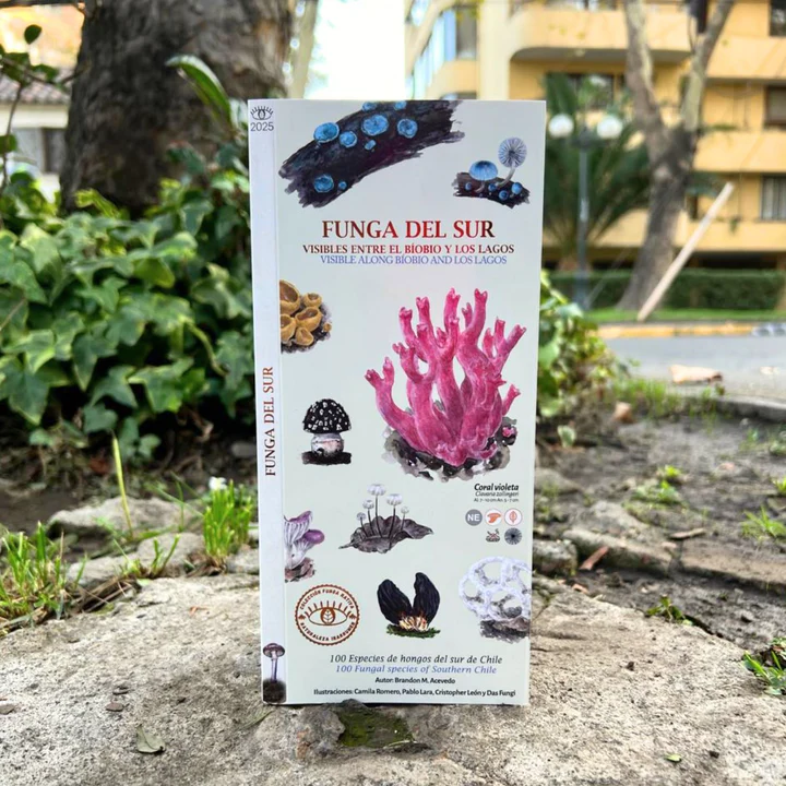 Funga del Sur - Guía de reconocimiento de hongos de Chile