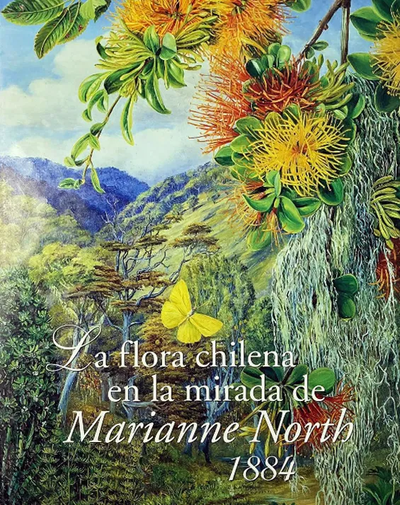 La flora chilena en la mirada de Marianne North, 1884